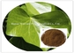 Hedera helix Extract GMP Powder Asthma Treatment Ivy Leaf Extract Korea Registration license